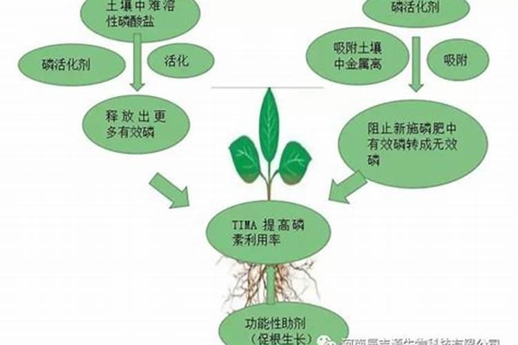 螯合肥是什么意思？