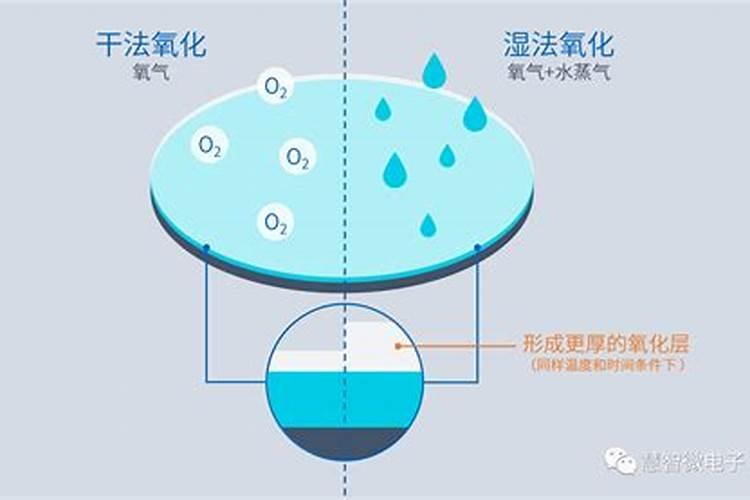 发财树叶子发黄怎么补救,浇水多了烂根发软还有救吗