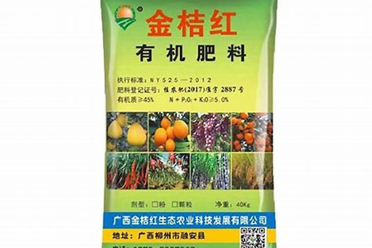 金桔树不结果怎么办