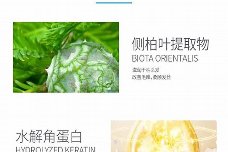 鱼蛋白肥,好的品牌有哪些？