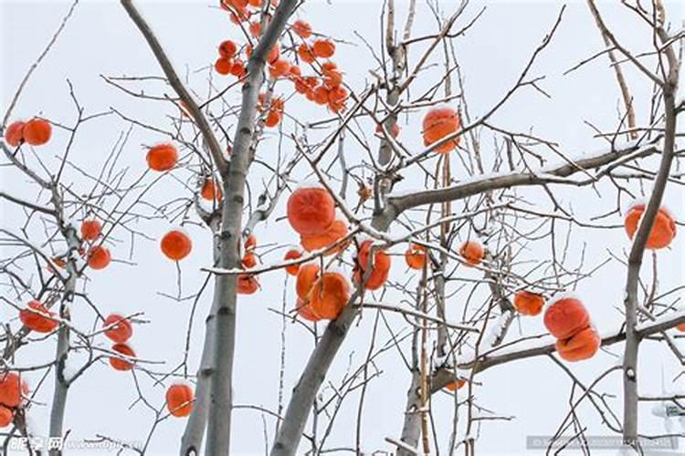 宝宝缺微量元素的症状和表现