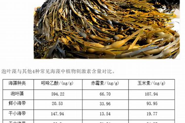 猝倒病用什么药见效？