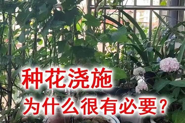 化学肥料利用率