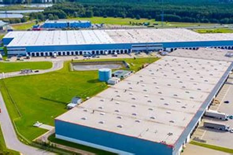 棕榈油能替代哪些其他油脂？