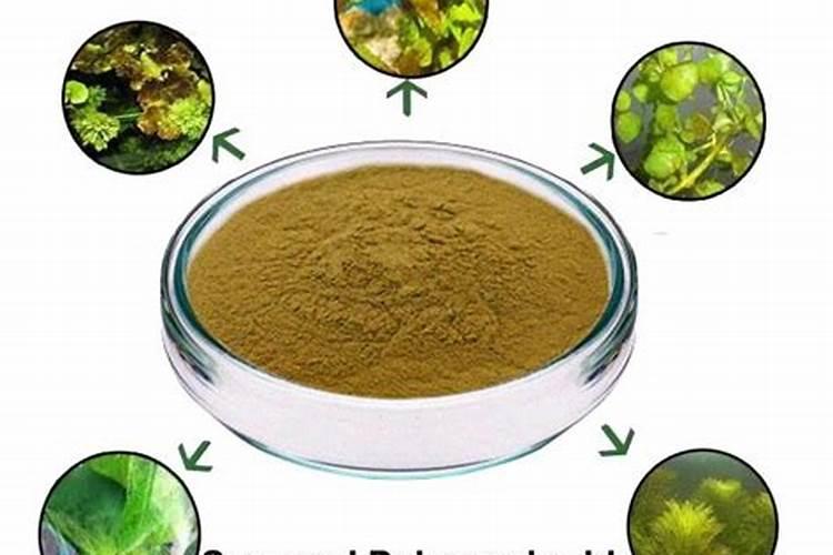 冬桃管理技巧有哪些？