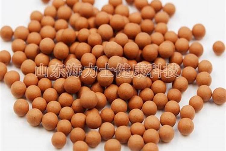 木鱼石生物科技是大品牌吗