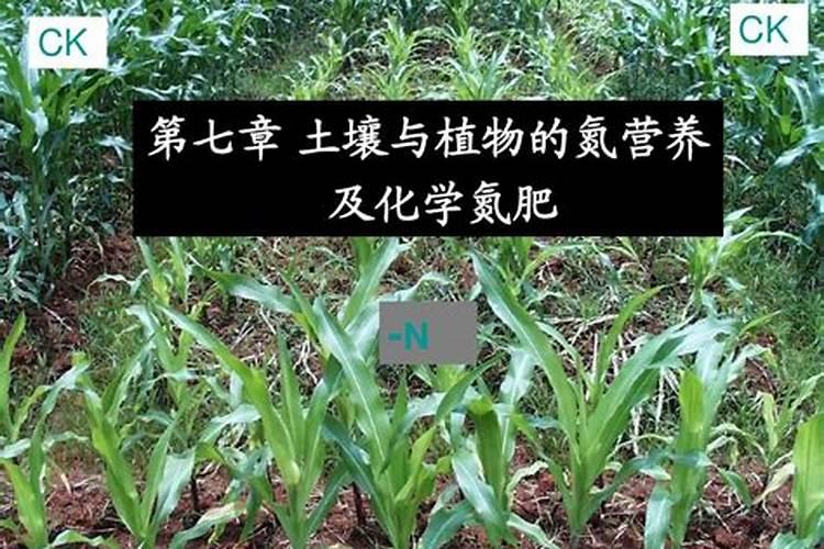 葡萄软软的是什么原因它为什么年年都是那棵树有药打吗