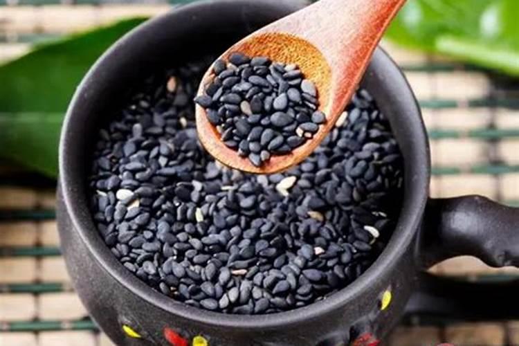 茶花什么时候施肥最好