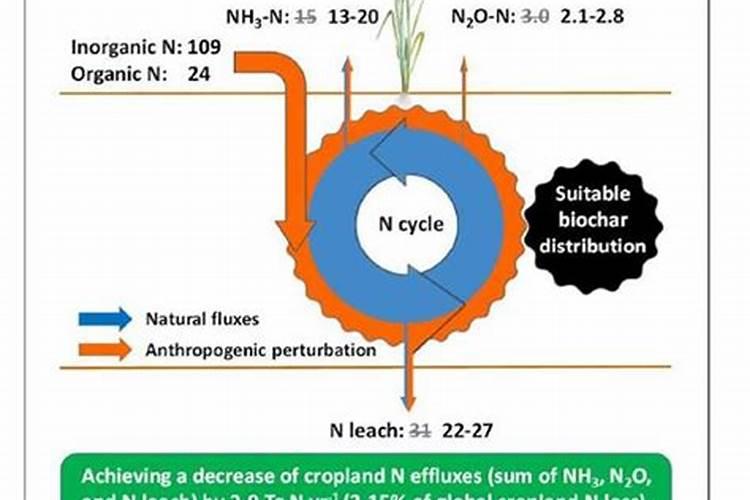 当出现氮肥适用过多该怎么办呢？如何解决水稻氮肥施用过多呢？