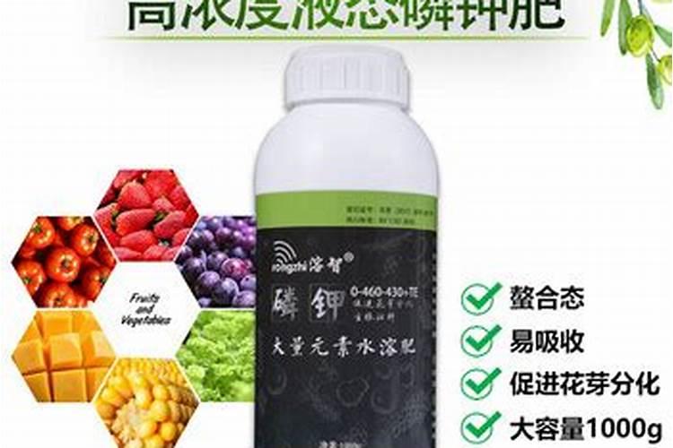 叶面肥价格一般是多少 如何选购好用的叶面肥料