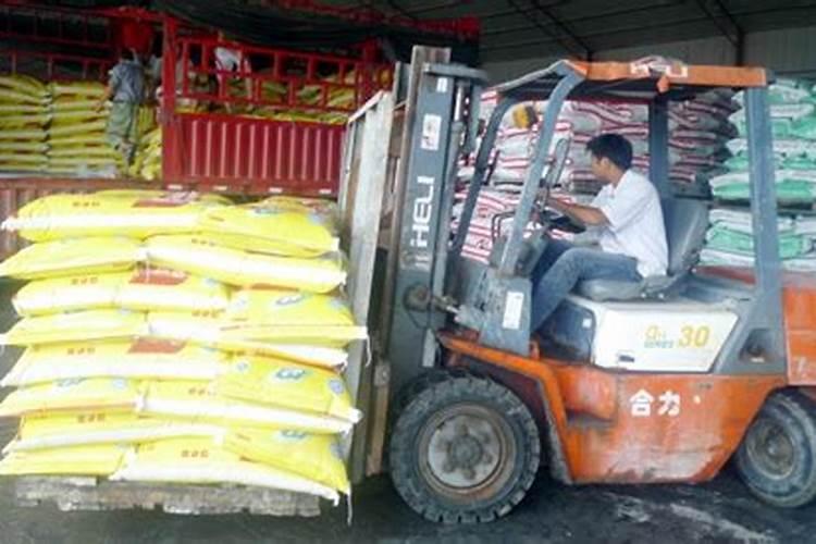 葵花苗开花期用什么肥料打什么叶面肥好用