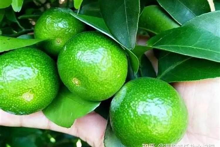 大量元素水溶肥,六个特点无可匹敌!