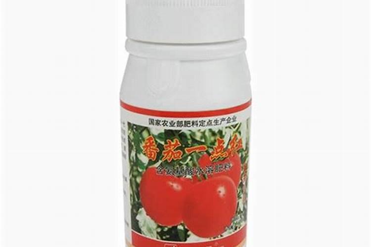 发财树施什么肥料好