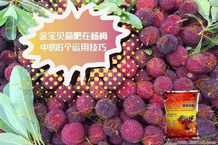  Petites with Vitamin D3柠檬酸钙200粒购买最佳价格百度...