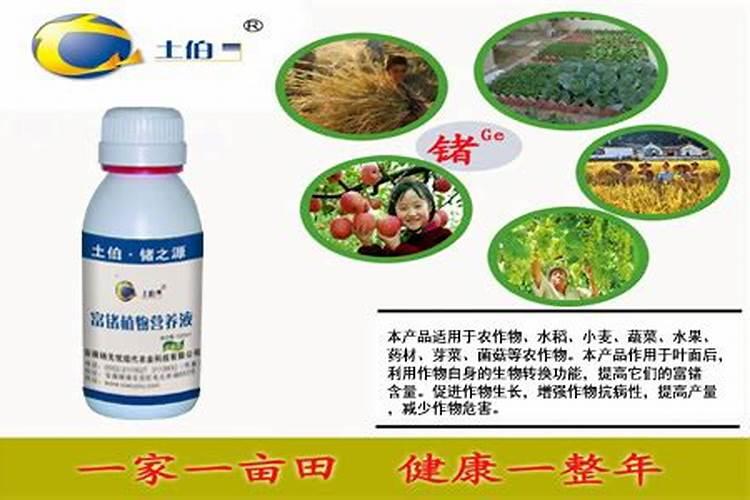 植物可以用补光灯补光吗？