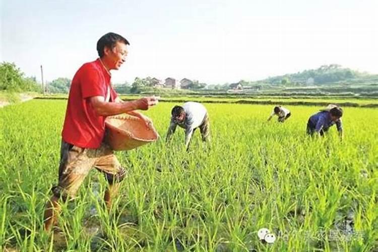 ...海南、福建、四川、陕西地区投资生产 生物有机肥或者农业的企业名称...