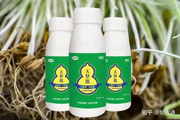 红小豆喜欢什么叶面肥