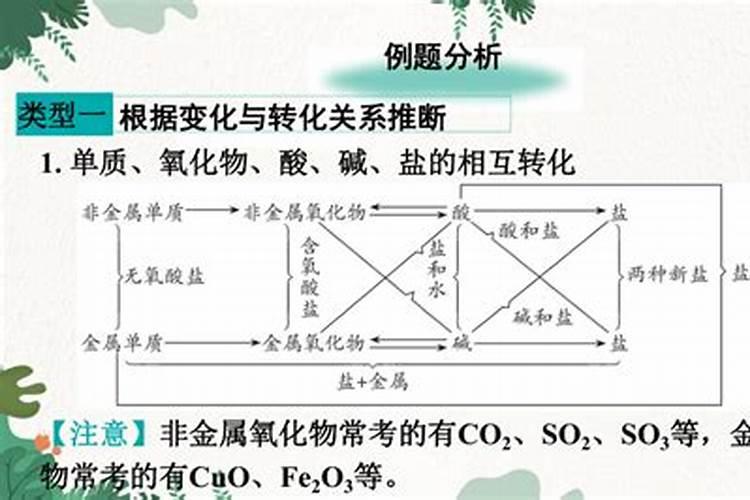 2025年十佳甜糯玉米品种