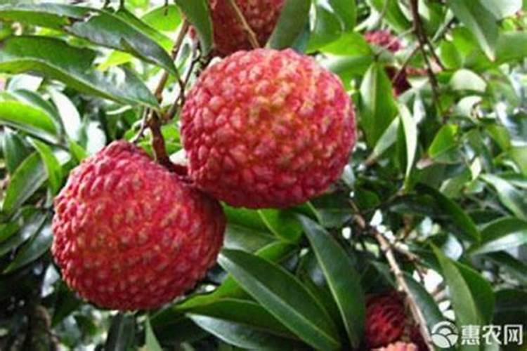 新疆哪个县矿产资源最丰富