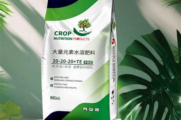 常见大棚芹菜施肥误区,如何正确施肥,施肥注意事项
