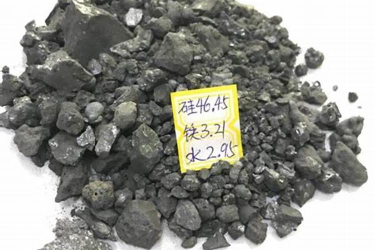 金桔树枯了怎么救活