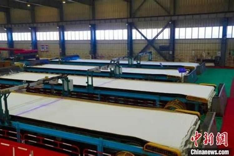 文竹用什么肥料好