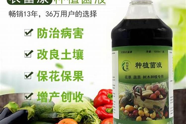 怎么设计一个农业技术推广方案