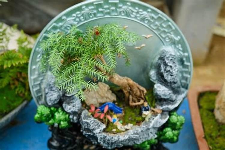 柠檬酸在哪里买