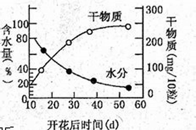 花生豆类可以做种花的底肥吗？