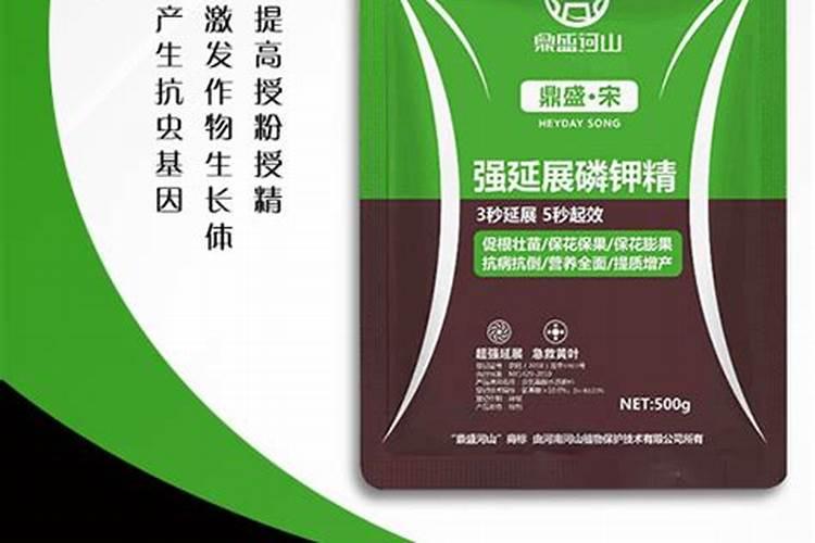 君子兰用什么肥料