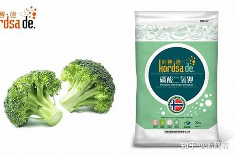 蟹爪兰浇水几天一次