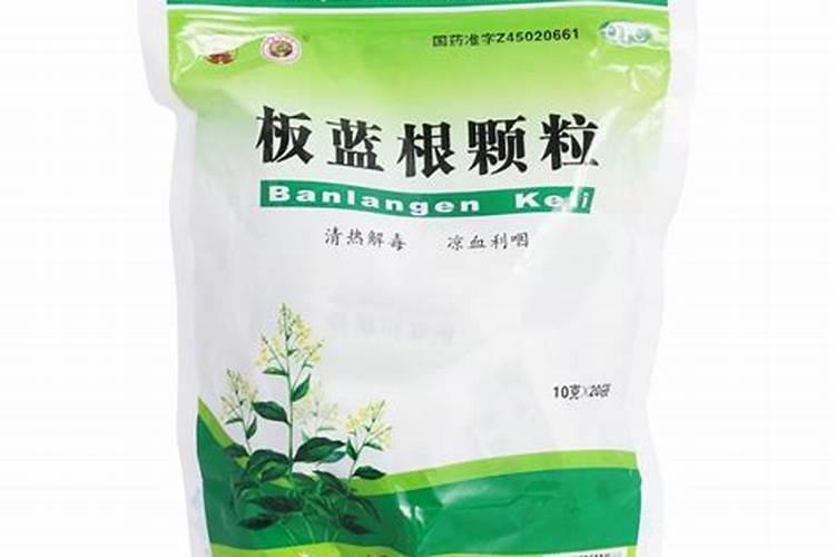 板蓝根如何种植？