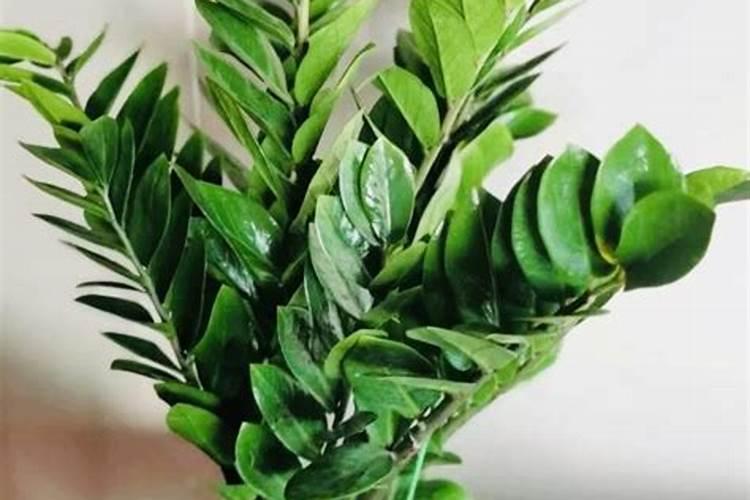 《千人糕》的原文是什么