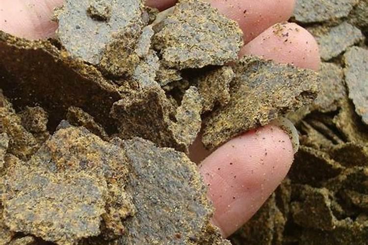 小麦啥时候浇返青水最好