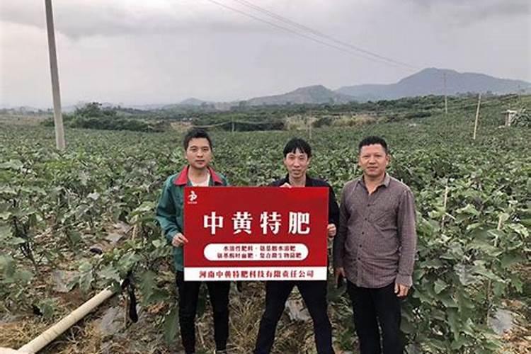 水溶肥什么牌子靠谱？