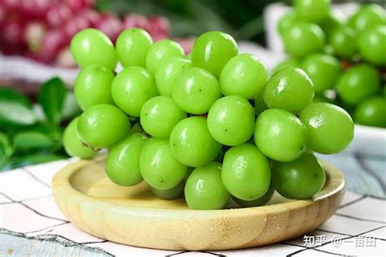 阳光玫瑰葡萄枝条扁能行成花芽吗？