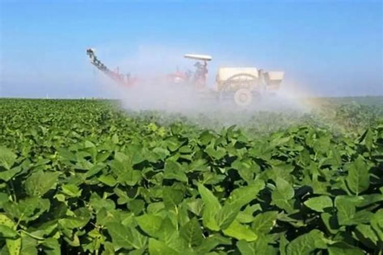 发酵好的水肥能放多久