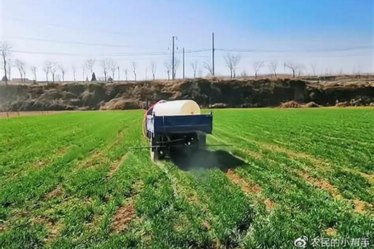 芸苔素内酯可以滴灌冲施吗一亩地冲是多少？