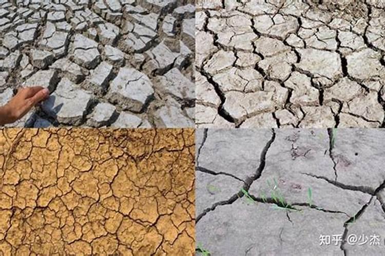 苹果膨果期冲施什么肥料好？苹果膨大期用什么冲施肥好？