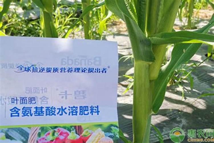 高效氯氟氰菊酯可以和叶面肥一起用吗