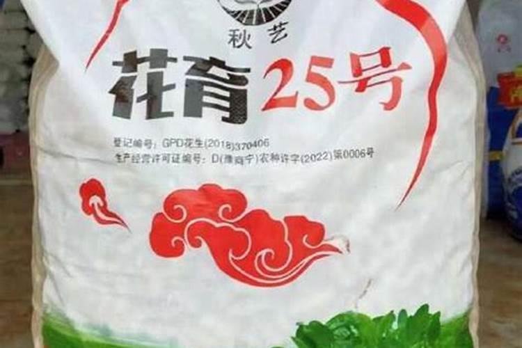 茄子秧怎么栽成活率高