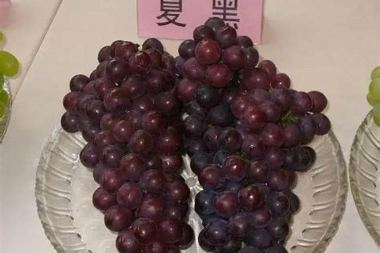 葡萄上什么肥料好