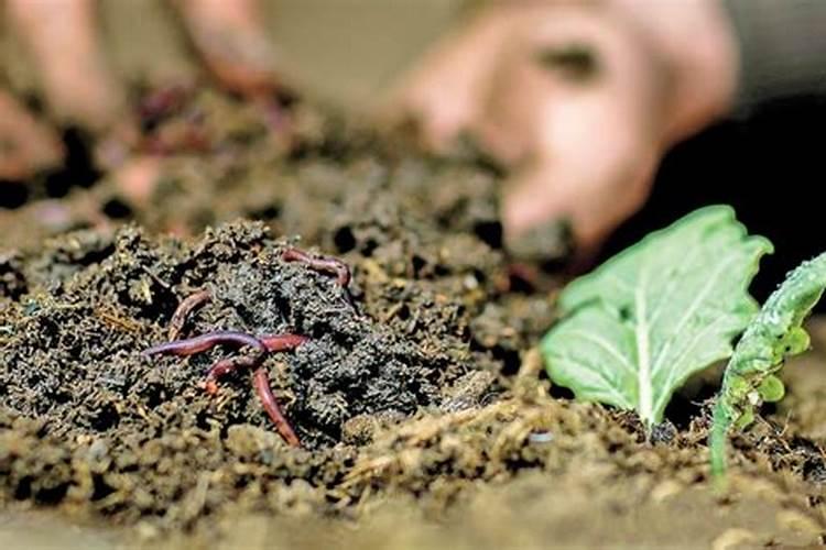 养花可以用硫酸钾型复合肥吗？硫酸钾型复合肥如何使用养花