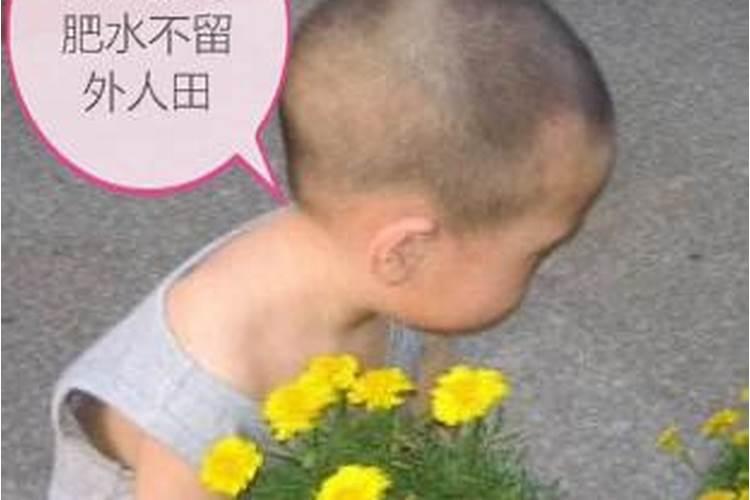 海洋鱼低聚肽海洋鱼低聚肽作用