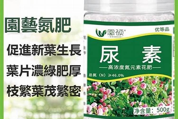 尿素兑水灌根怎样比例,有什么作用