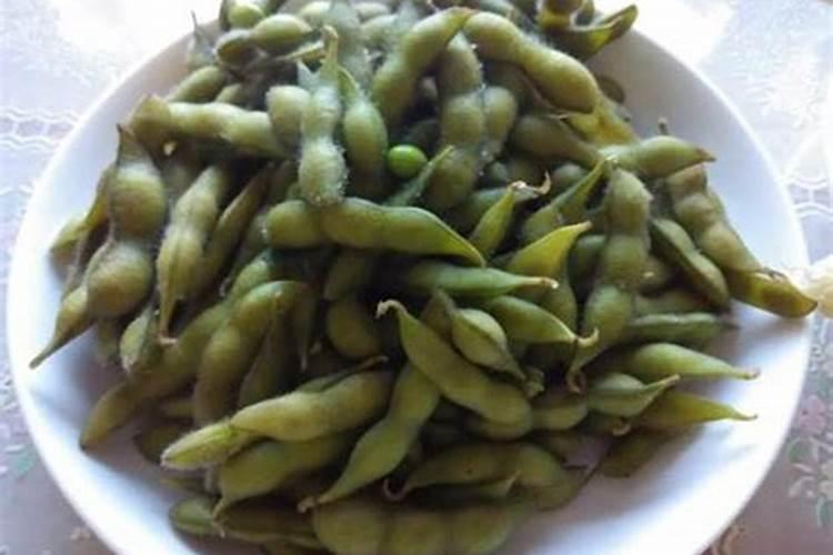 毛豆怎么种发芽最快