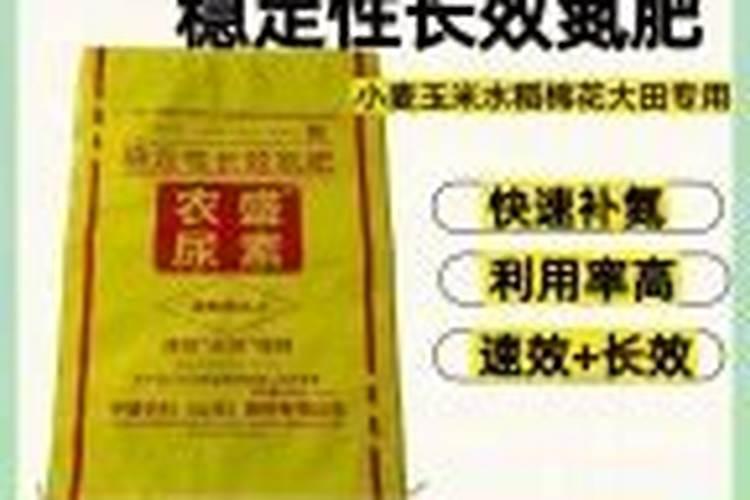 无花果用什么肥料 该如何管理