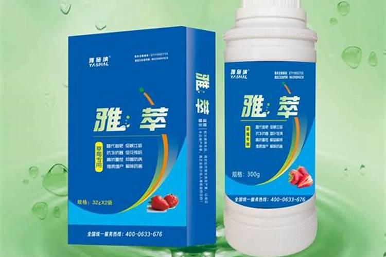 草莓花期可不可以喷叶面肥？要注意什么问题？