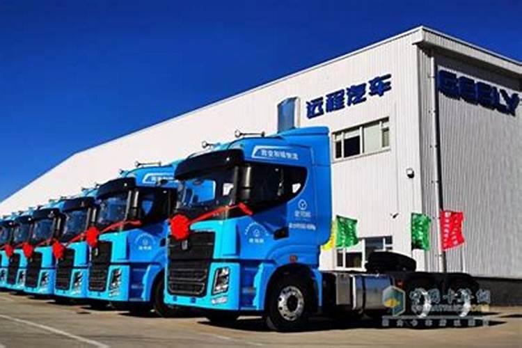 茄子冬天冲什么肥好