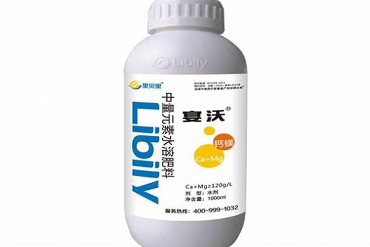 什么时候扦插牡丹吊兰最好？